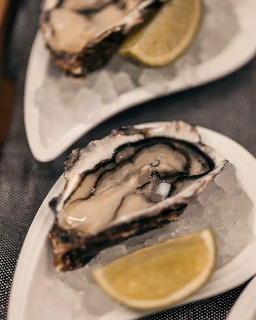 Freshly shucked oysters served on a plate with lemon