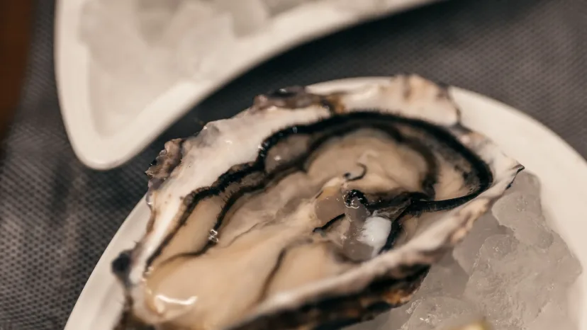Freshly shucked oysters served on a plate with lemon