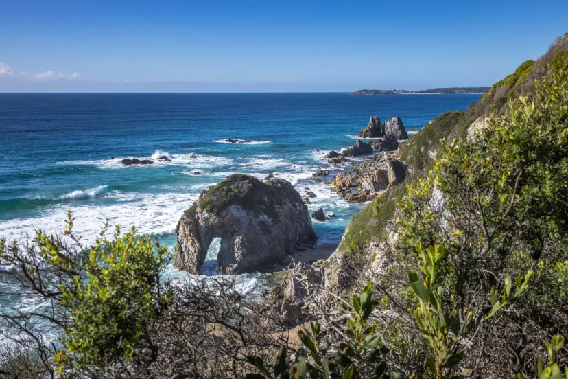 Horse Head Rock at Bermagui, a sea arch shaped like a horse dipping its head to the water