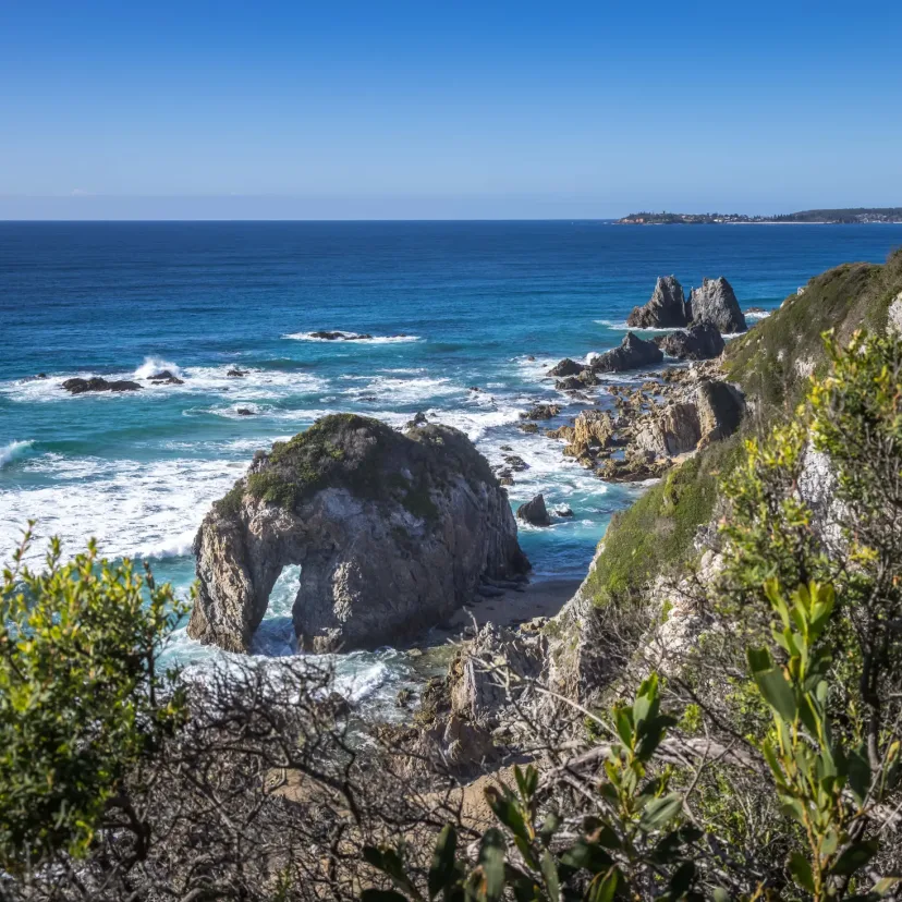 Horse Head Rock at Bermagui, a sea arch shaped like a horse dipping its head to the water