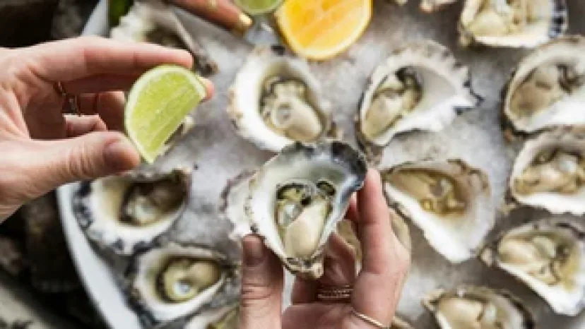 A plate of freshly shucked rock oysters with lime, at the Narooma Oyster Festival