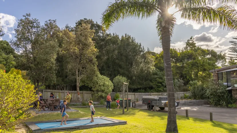 Children playing on the lawn and playground beneath a large palm