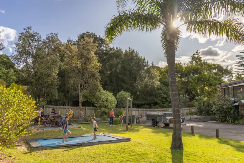 Children playing on the lawn and playground beneath a large palm