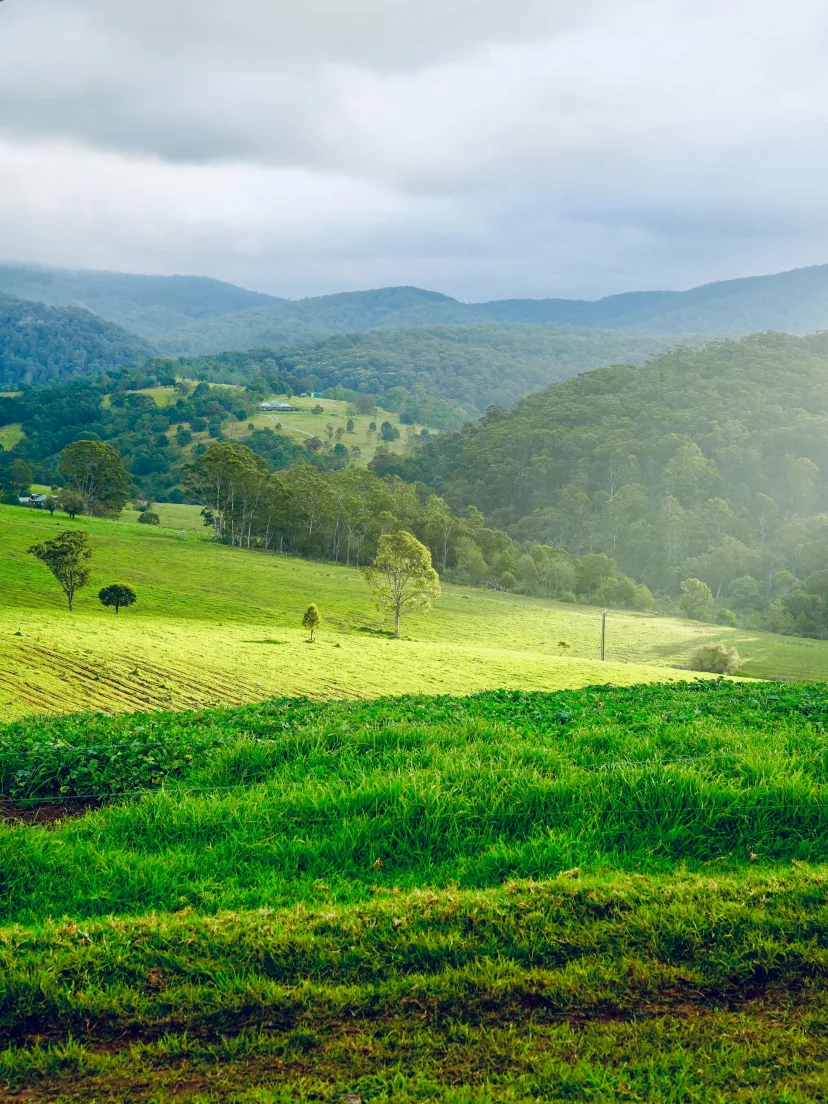 Green rolling hills in the hinterland behind the Sapphire Coast