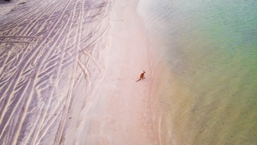 Aerial view of a swimmer in the turquoise shallows beside a sandbar