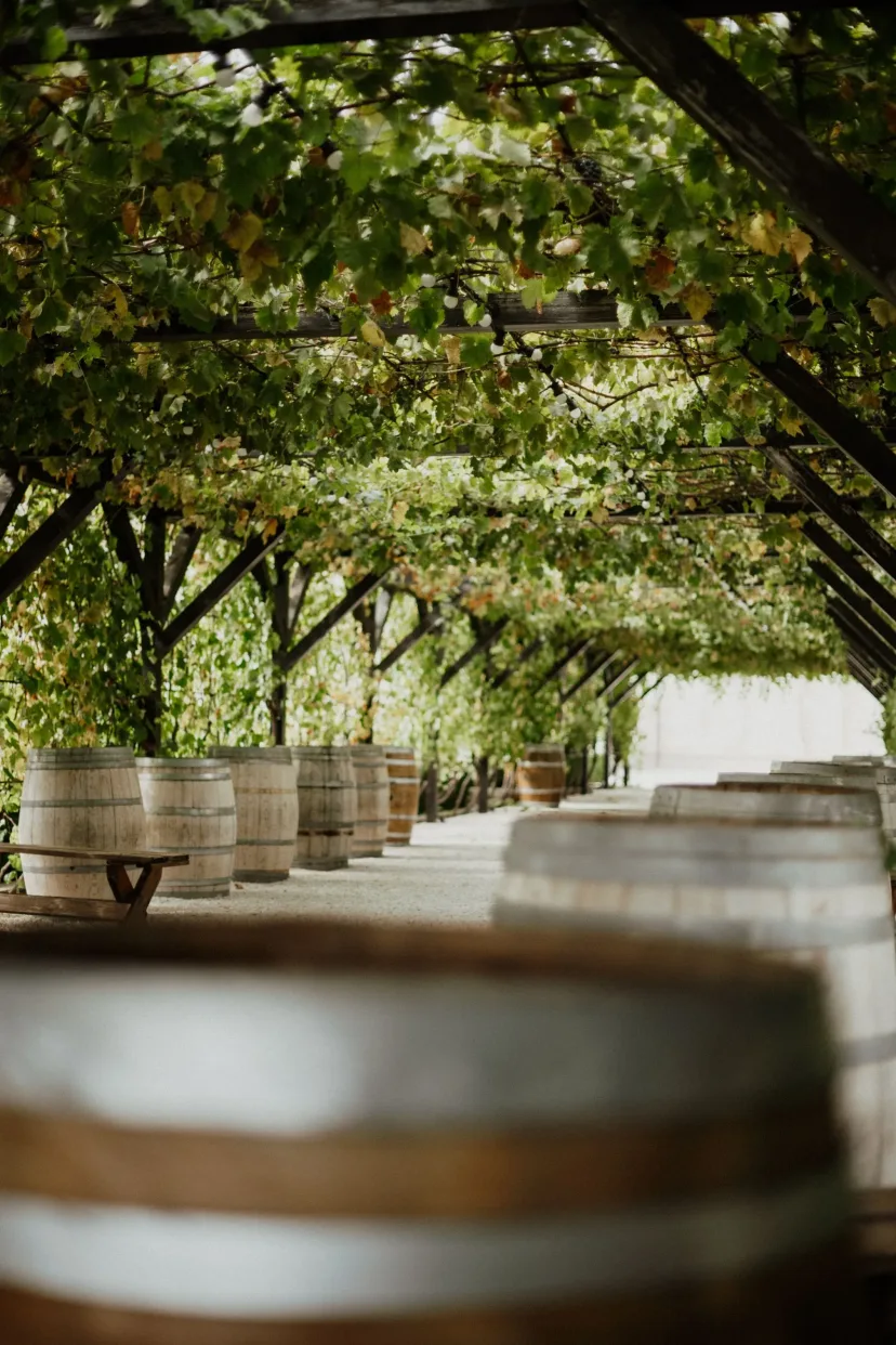 Oak wine barrels stacked at a local winery